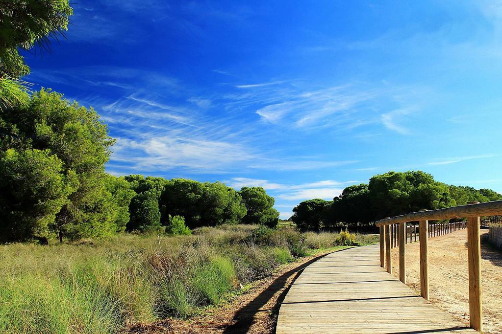 La Siesta Lejlighed Torrevieja Værelse billede